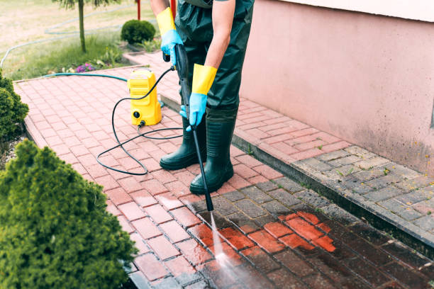 Best Driveway Pressure Washing  in Tatamy, PA